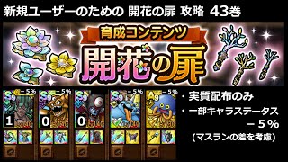 【ドラクエタクト】新規ユーザーのための開花の扉攻略 43巻 (2025年10月版) #ドラクエタクト
