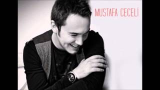 Mustafa Ceceli - Islak İmza Resimi