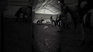 tesknie misiu🕊️