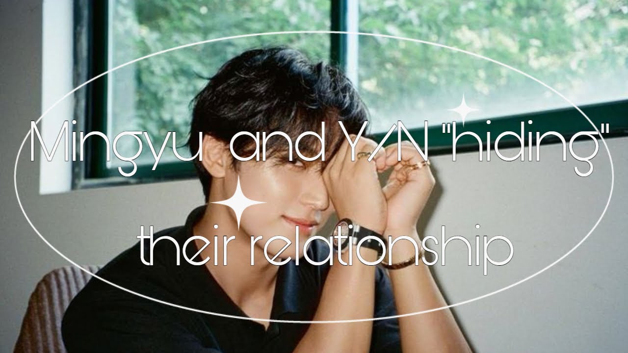 Mingyu and Y/N 