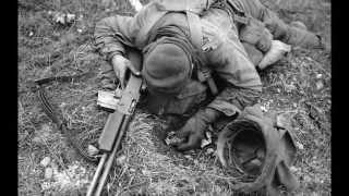World War 2 Veterans Tribute- All Gave Some