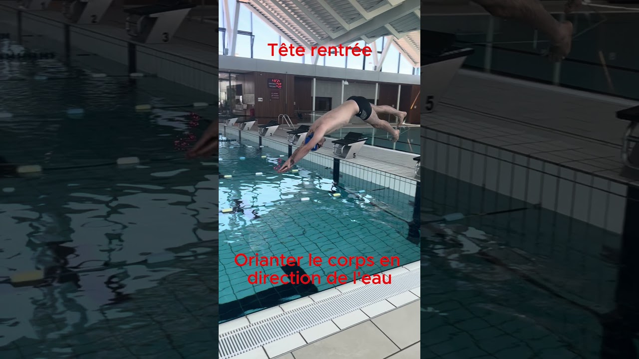 Plongez comme un Pro : Maîtrisez l'Art du plongeon en Moins de 20 Secondes! 