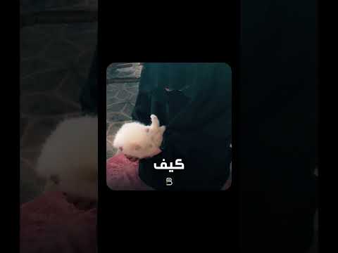 ماشاء الله فرحتها بالقطة 