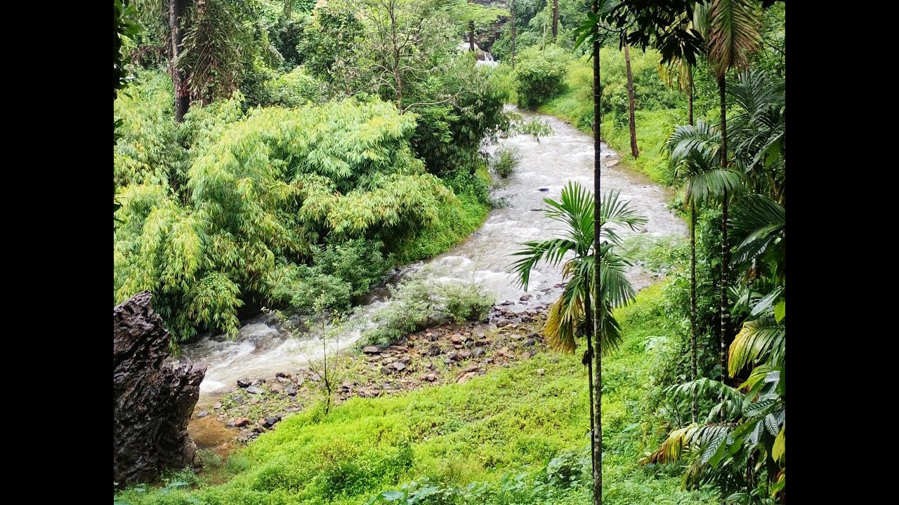 Goa Without the Crowd? Welcome to Bekal, Kerala! 🌊 