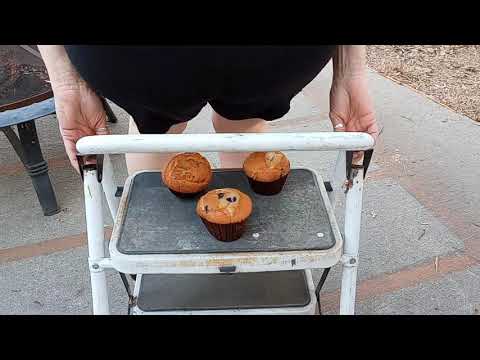 Short Pants & Muffins