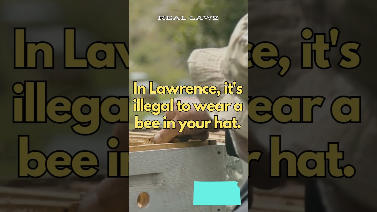Lawrence, Kansas' Bizarre Bee Law - Unbelievable but True! 