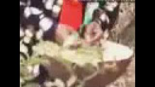 Man must wak- Nigeria vs Biafra- Parley Brown1
