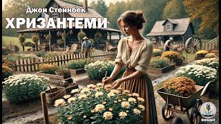 картинка: ДЖОН ЕРНСТ СТЕЙНБЕК - ХРИЗАНТЕМИ #аудіокнигиукраїнською #слухатикнигионлайн #драма #книги