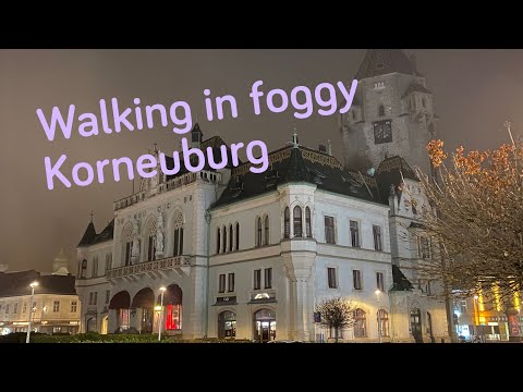 Walking in foggy Korneuburg / Spaziergang durch das neblige Korneuburg