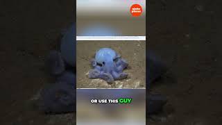 Discover Alien Like Niche Your Next Viral Idea! #printondemand #merchondemand