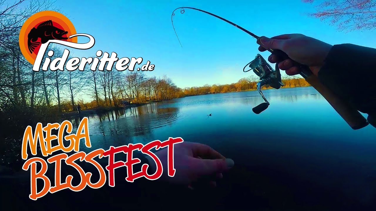 Spoon Angeln KRASSES BISSFEST mit der UL beim Forellenangeln auf