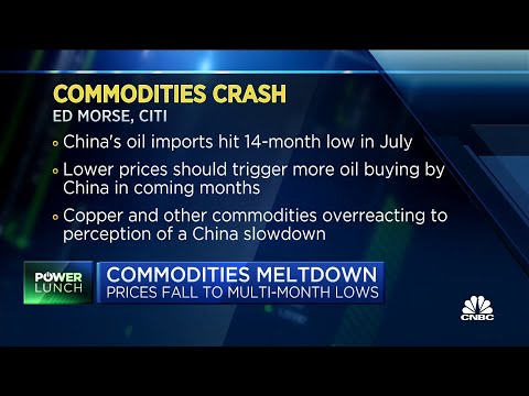 We are in favor of buying the dips on oil and industrial metals: Citi's Ed Morse