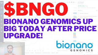 $BNGO BIONANO GENOMICS UP BIG TODAY AFTER PRICE UPGRADE! BNGO Analysis | Live Wellthy Stocks