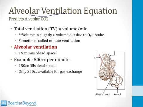 Boards & Beyond Step 1: Ventilation and Perfusion