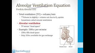 Pulmonary USMLE Step 1 — Ventilation and Perfusion — Boards and Beyond