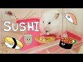 ハムスターにお寿司作ってみた♪Making Tiny Sushi!! Cooking For Hamster!!