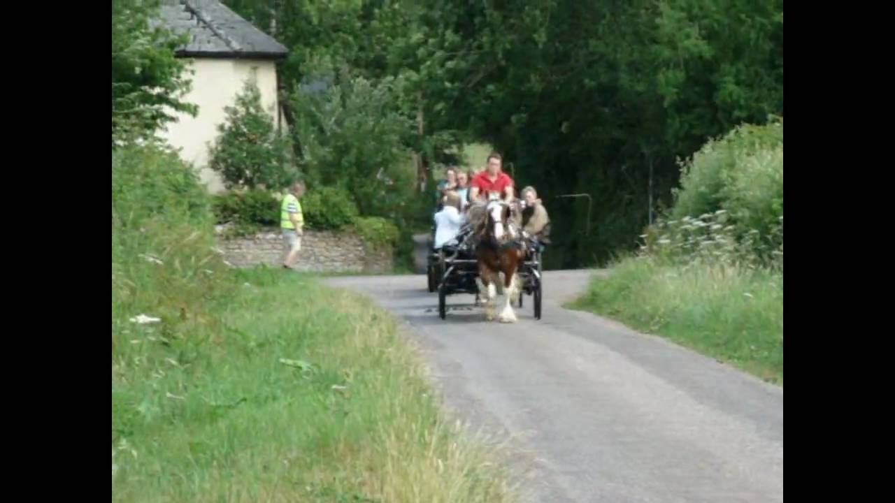 Carriage Driving Arena Challenge  Drive Part 1