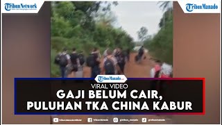 Gaji 4 Bulan Belum Cair, TKA China Kabur Dari Tambang Emas