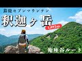 【鈴鹿セブン】釈迦ヶ岳登山！稜線歩きが気持ちイイ！岩場もあり、なかなかスリルも楽しめる、意外と知られていない魅力たっぷりの山！春にはシロヤシオのトンネルも♪［庵座谷ルートから猫岳へ］