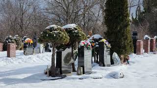 A Snowy Day Tour of Pine Hill Cemetery & Funeral 4K