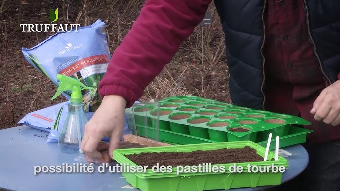 Quand semer du gazon ? ? Faites ça à l'automne pour réussir !