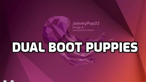 dualPupBoot: add another bootable puppy iso to a non-UEFI PC