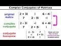 Complex Matrices and Their Properties