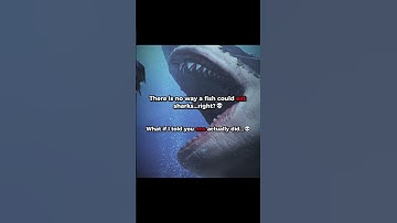 This fish ate sharks...💀