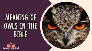 Meaning of Owls in the Bible - Symbol of Love or Death?