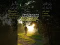 The Unseen Bodyguards: Who is Watching Over You Until Your Last Second? (Al-An'am 61)"