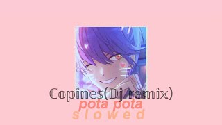 Copines remix (slowed) | Dj tiktok | Dj Pota pota | remix