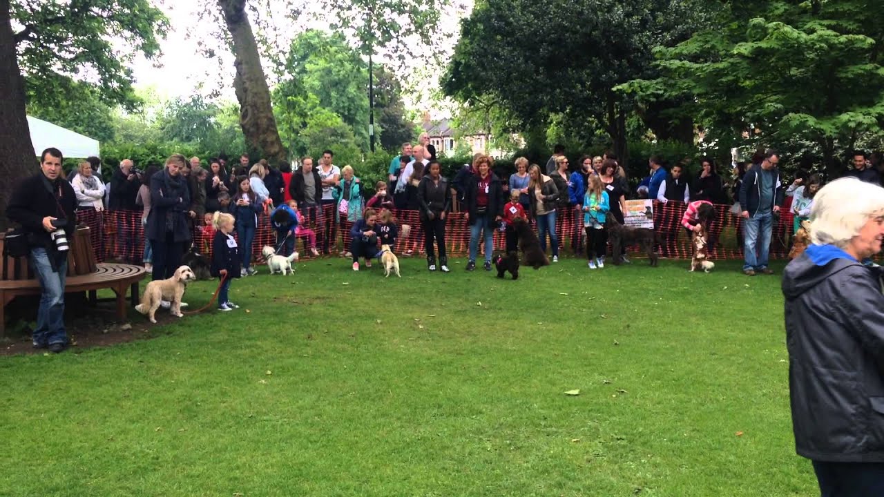 Wanstead village dog show 2014 YouTube