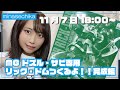 【生配信】MG ドズル・ザビ専用リック・ドムつくるよ!!(完成編)