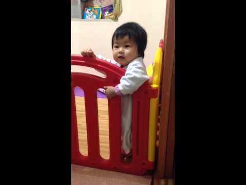 包姐之認真看Maisy