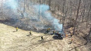 Forest benefits of prescribed burning