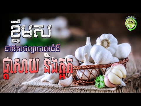 ខ្ទឹមស អាចព្យាបាលជំងឺផ្ដាសាយ និងក្អកយ៉ាងមានប្រសិទ្ធិភាព