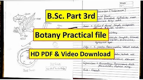 B.Sc. Part 3rd, Botany Practical file(record), 2020, HD PDF & Video Download,Hindi & English Medium,