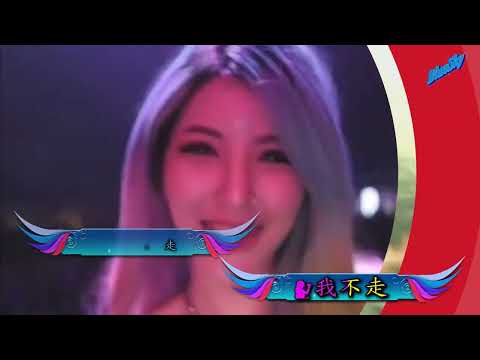 你莫走DJ 2-(卡拉ok)