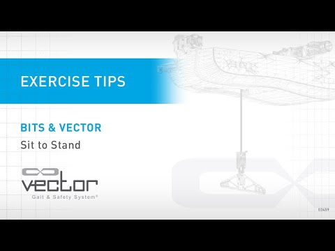 BITS & Vector - Sit to Stand Vector Exercise Tips Bioness