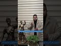 مجازات رانندگی بدون گواهینامه در قانون مجازات اسلامی چیست امیرعلی عبداله پور 
