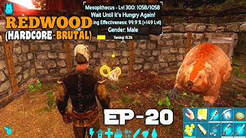 Ark Mobile Ankylosaurus And Mesopithecus Taming | Metal Ingot | Pelt | Fur Armor | Ep - 20