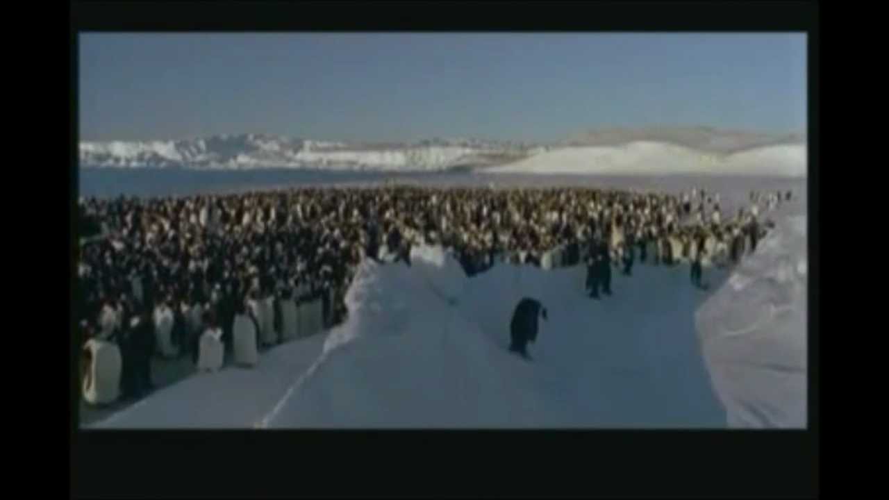 La marche de l'empereur Bandeannonce YouTube La marche de l'empereur Bandeannonce YouTube