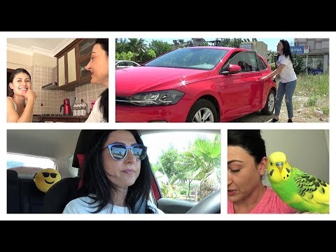 HER İŞİMİZ BEKLEMELİ OLUYOR...NESLİHAN'IN EVİNE GİTTİM...NEDEN VİDEO ÇEKMİYOR ??? (VLOG 815)