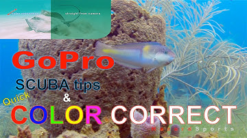 GoPro SCUBA Tips & Color Correction with RGB curves in Adobe Premiere CC - #HazardSports