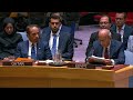 مندوب مصر بمجلس الأمن قطر ليست وحدها وأمنها من أمن مصر والأمن القومي العربي بأسره 