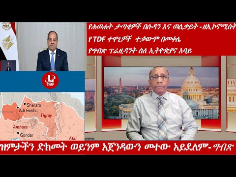 Lualawi ሉዓላዊ ዝምታችን ድክመት ወይንም አጀንዳውን መተው አይደለም ግብጽ የሕወሐት ታጣቂዎች በሱዳን እና ወልቃይት የ TDF ተዋጊዎች ተቃውሞ በመቀሌ
