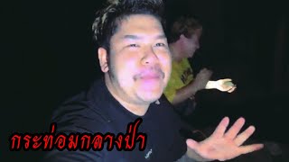 Cabin in the Woods 08/09/26 #Funny #Hilarious #GhostShow #Feed #LiveStream