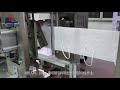 Richpeace Flat Fold Mask Production Line 富怡全自动折叠口罩生产线