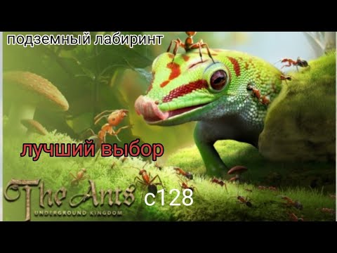 Видео: the ants underground kingdom подземный лабиринт как пройти больше этапов