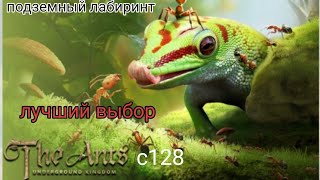 the ants underground kingdom подземный лабиринт как пройти больше этапов